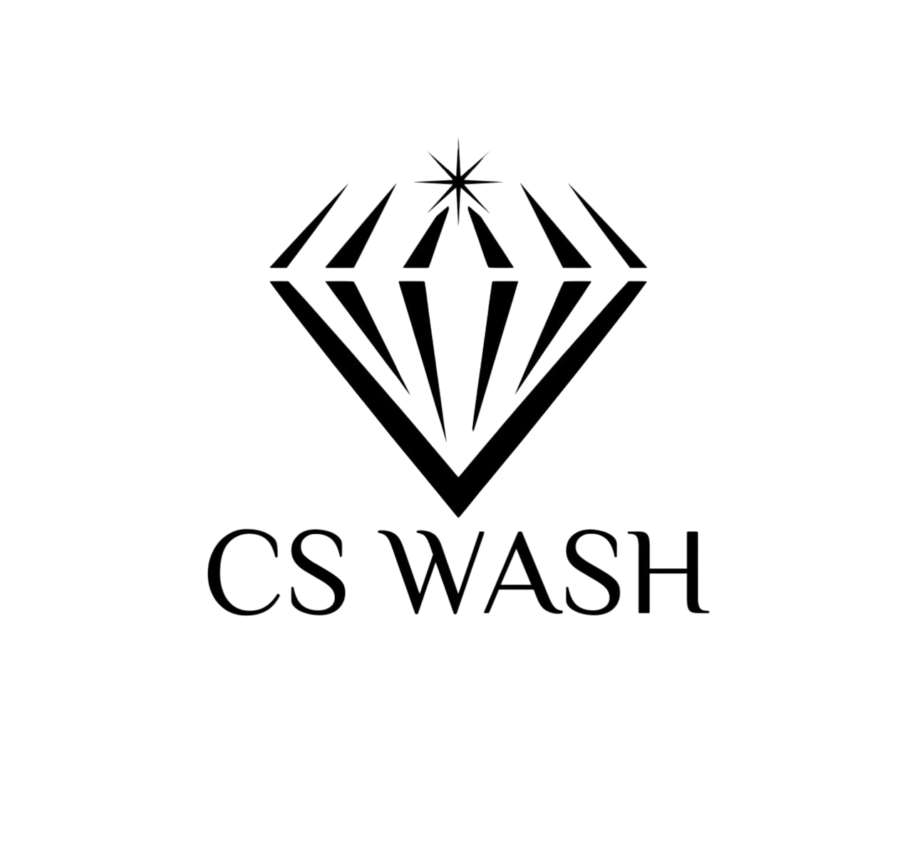 cs-wash-logo.png